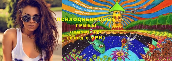 спайс Богородицк