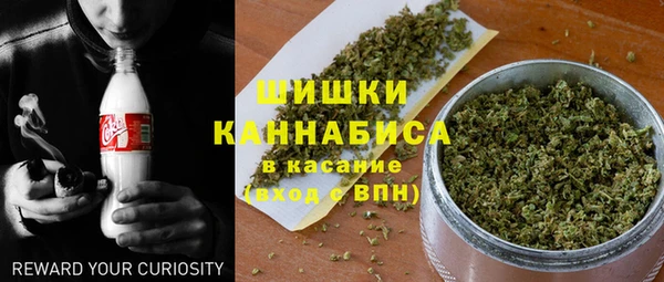 спайс Богородицк