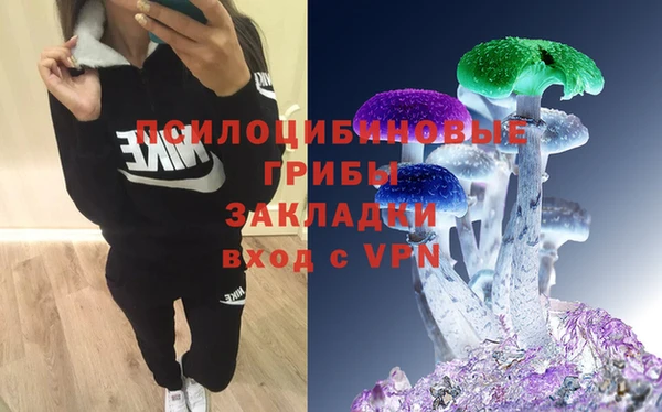 спайс Богородицк