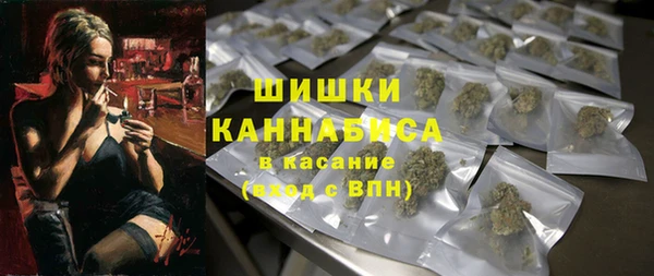 МДПВ Богородск
