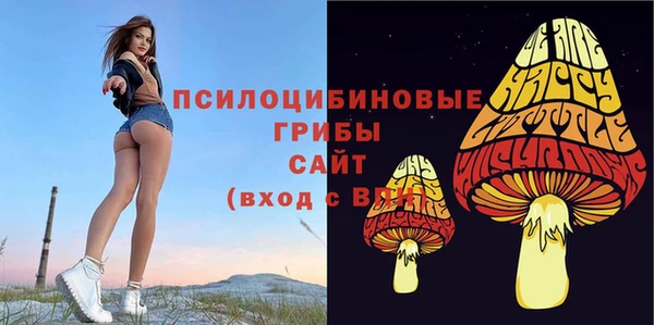 МДПВ Богородск