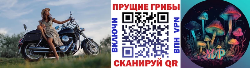 Галлюциногенные грибы ЛСД  kraken маркетплейс  Павловская 